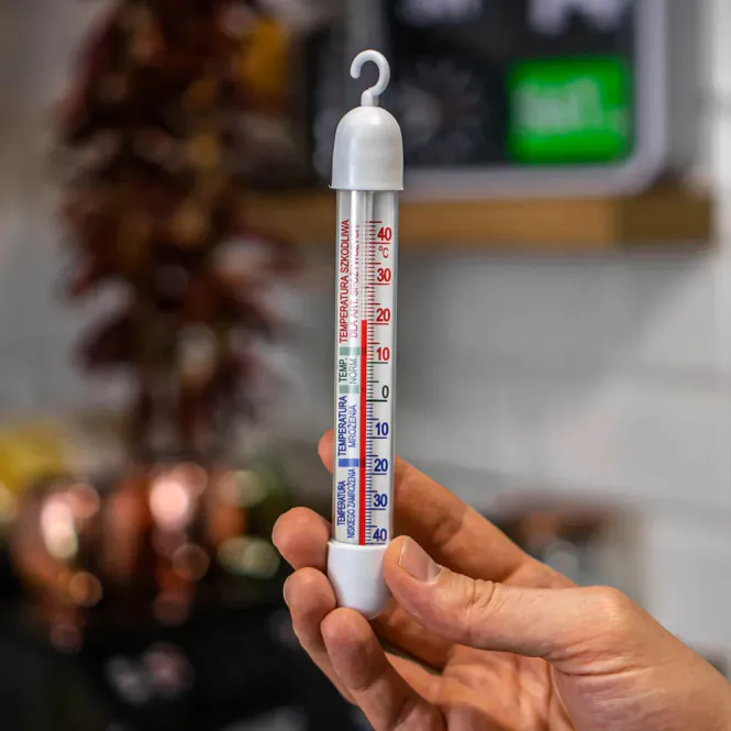 Main Image Refrigerator and Freezer Thermometer Browin 17 cm